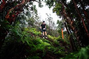 BIB: 
                            <button type="button" onclick="openModal(26203736)" class="btn btn-primary btn-sm float-right btn-popup" data-toggle="modal" data-target=".modal-high-quality">
                        <i class="fas fa-shopping-cart"></i> Add to Cart
                    </button>
                                            <button type="button" onclick="isThisMe(26203736, true)" class="btn btn-success btn-sm float-right btn-popup btn-isme hidden" data-toggle="tooltip" data-placement="bottom" title="นี่คือรูปของคุณใช่ไหม คลิกที่นี่เพื่อเอาเข้าอัลบั้ม">
                        <i class="fas fa-plus"></i> Add to album
                    </button>
                    <button type="button" onclick="isThisMe(26203736, false)" class="btn btn-warning btn-sm float-right btn-popup btn-isnotme hidden">
                        <i class="fas fa-ban"></i> Remove from album
                    </button>